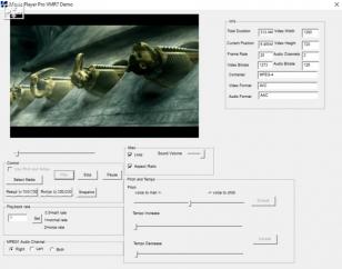 Movie Player Pro ActiveX Control main screen