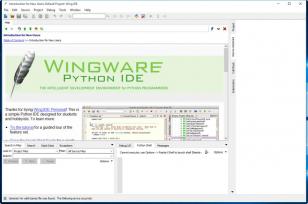 Wing IDE Personal main screen
