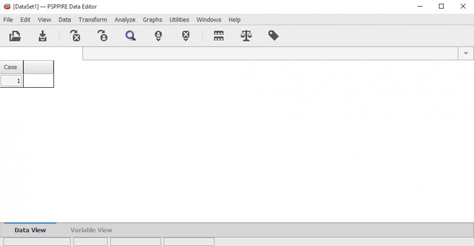PSPP main screen