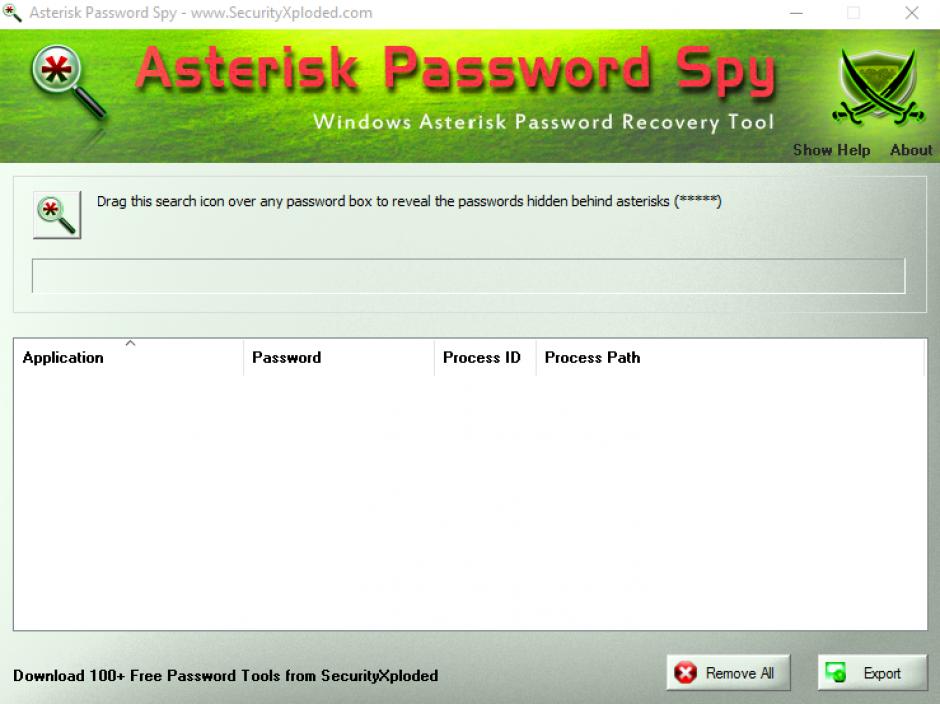 Asterisk Password Spy main screen