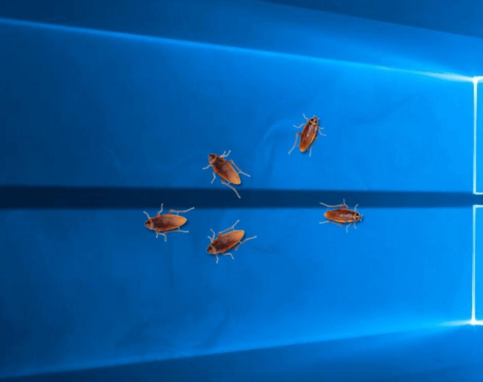 Cockroach on Desktop main screen