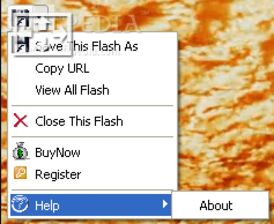 EZ Save Flash main screen
