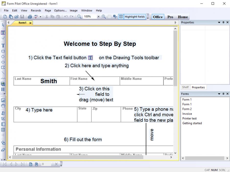 Form Pilot main screen