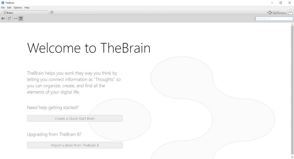 TheBrain main screen