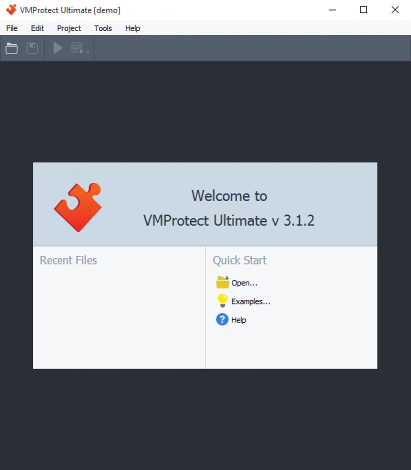 VMProtect Demo main screen