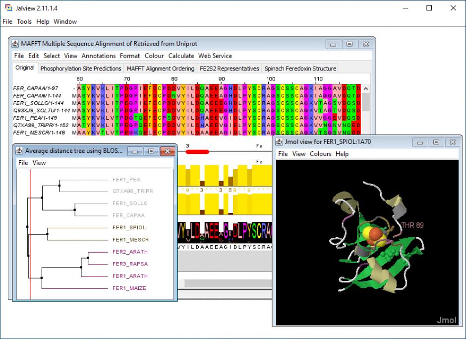 Jalview main screen