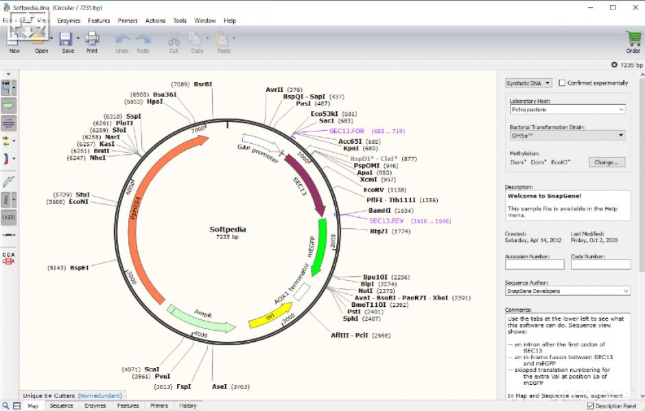 SnapGene main screen