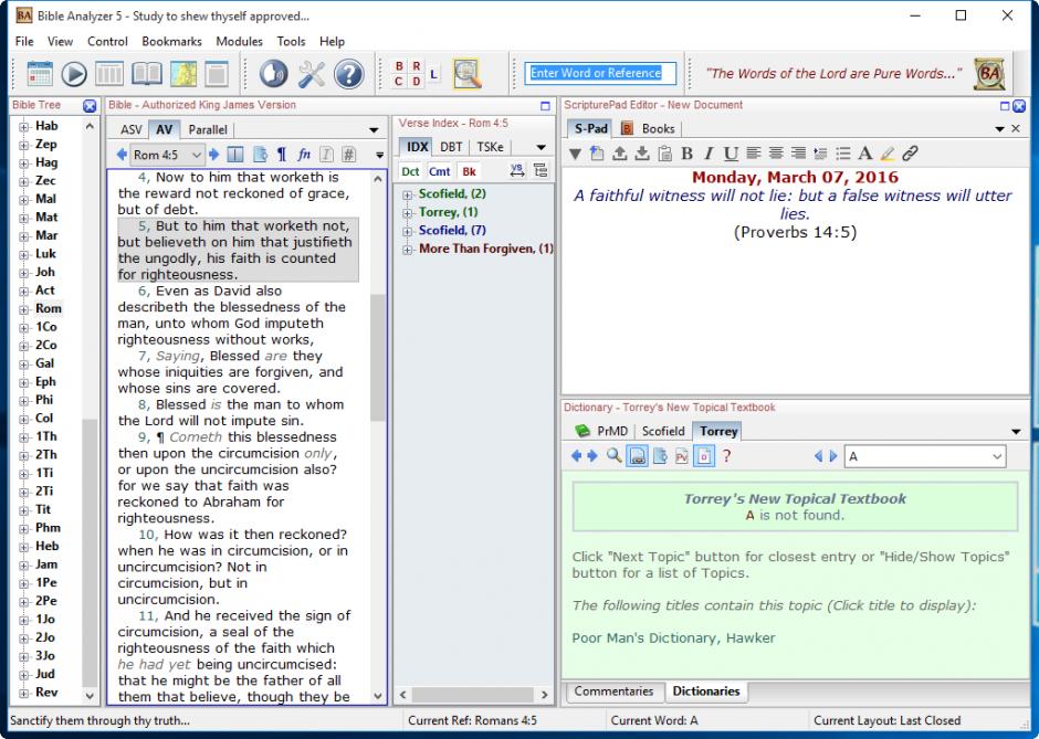 Bible Analyzer main screen