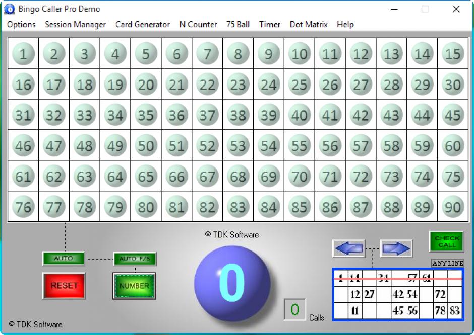 Bingo Caller Pro main screen