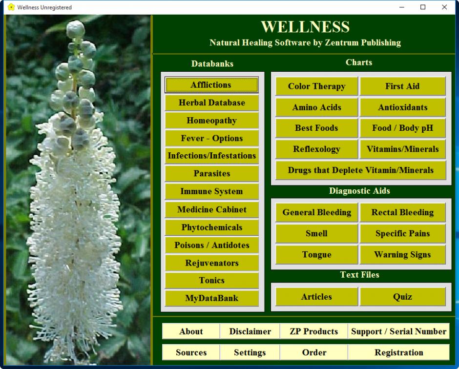 Wellness main screen