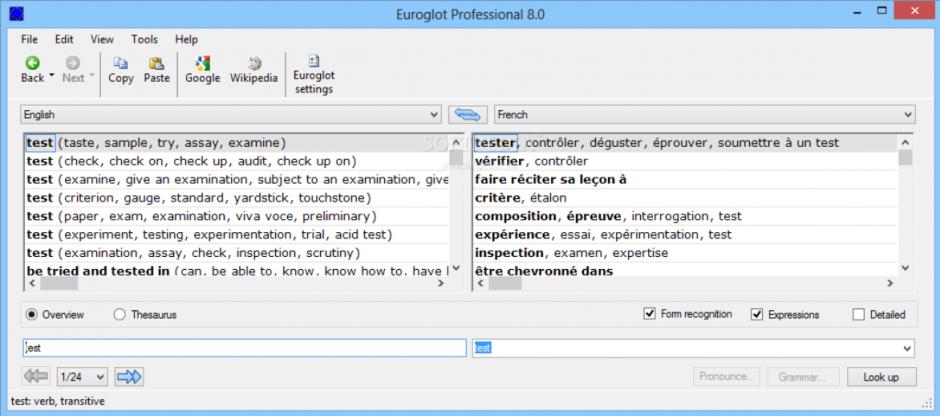 Euroglot Professional main screen