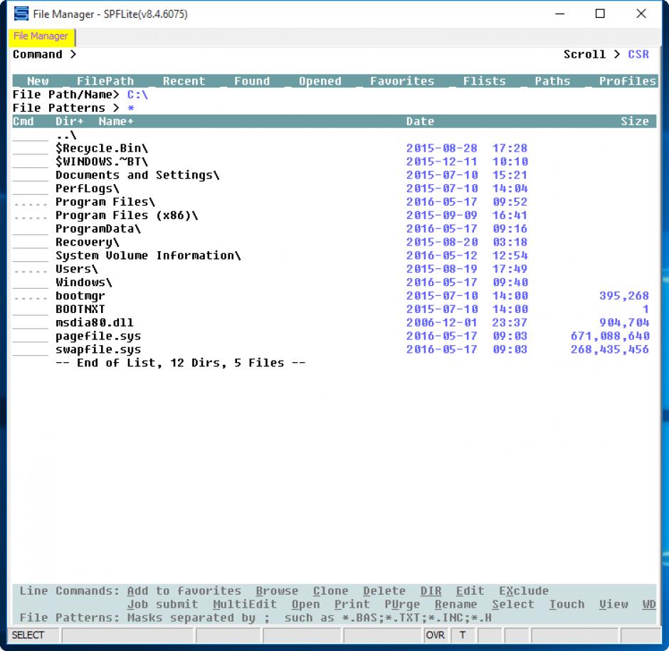 screenshot of program