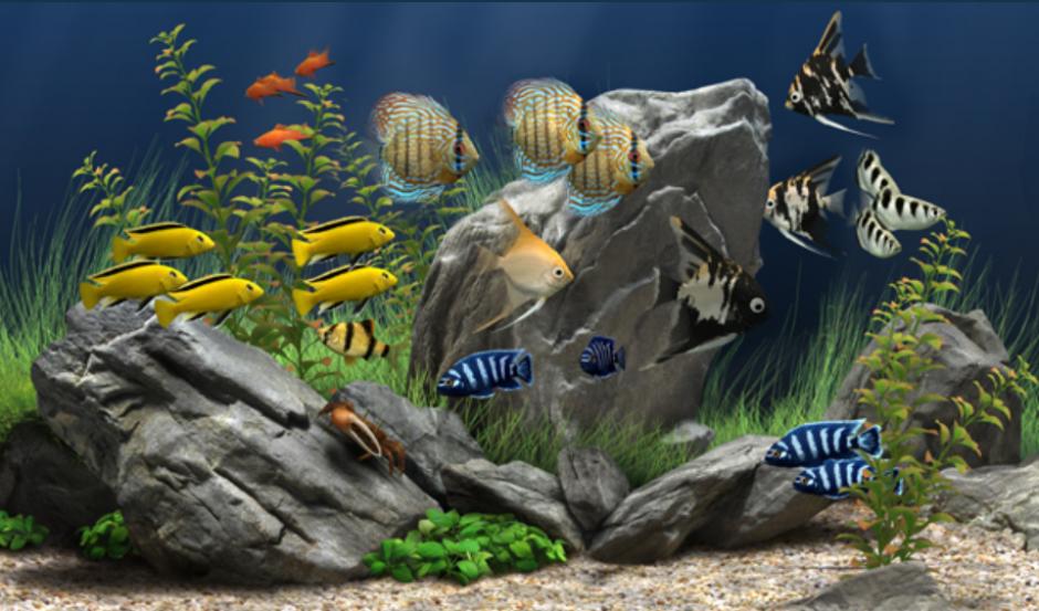 Dream Aquarium main screen