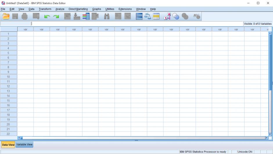 IBM SPSS Statistics main screen