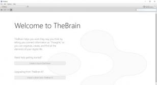 TheBrain main screen