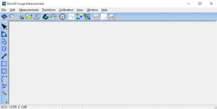 Bersoft Image Measurement main screen