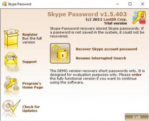 Skype Password main screen