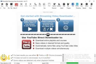 Streaming Video Downloader Lite main screen
