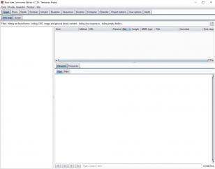 Burp Suite Community Edition main screen