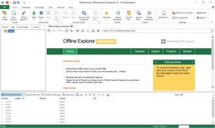 Offline Explorer Enterprise main screen