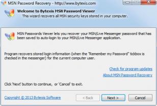 msn password recovery main screen