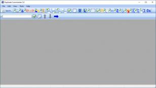 Duplicate Commander main screen