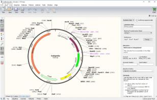 SnapGene main screen