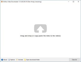 DLNow Video Downloader main screen