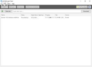 LIII BitTorrent Client main screen