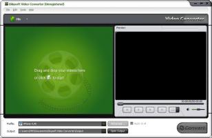 iSkysoft Video Converter main screen