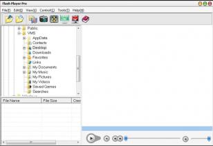 Flash Player Pro main screen