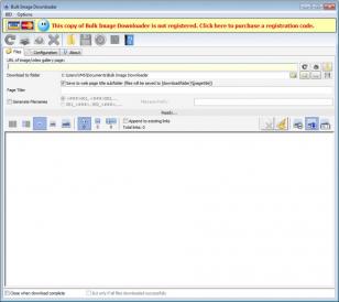 Bulk Image Downloader main screen