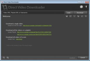 Direct Video Downloader main screen