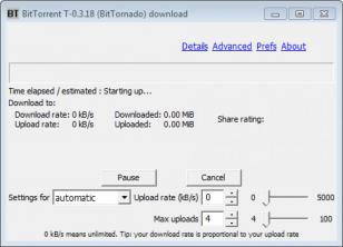 BitTornado main screen