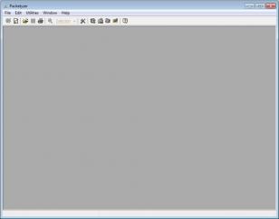 Packetyzer main screen