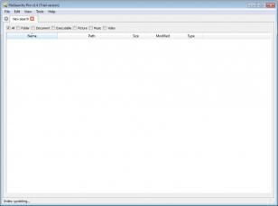 FileSearchy Pro main screen