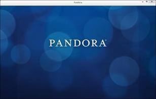 Pandora Service main screen