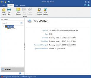 eWallet main screen