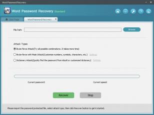 Word Password Recovery Standard main screen