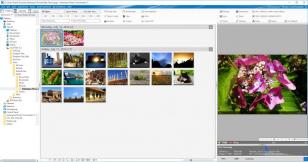 Ashampoo Photo Commander 12 main screen