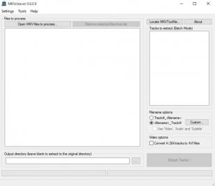 MKV Cleaver main screen