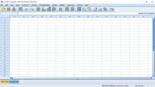 IBM SPSS Statistics main screen